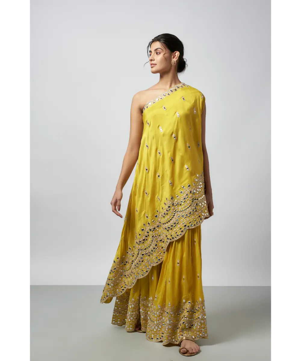 GOPI VAID- Akasa Sharara Set